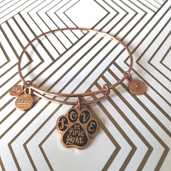Alex and Ani Love at First Sight Pet Lover Bangle Charm Bracelet - Picture 1 of 8